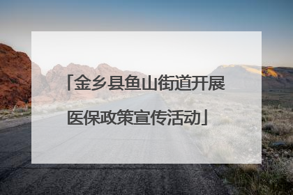 金乡县鱼山街道开展医保政策宣传活动