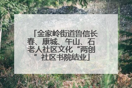 金家岭街道鲁信长春、康城、午山、石老人社区文化“两创”社区书院结业