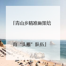 青山乡精准施策培育“头雁”队伍