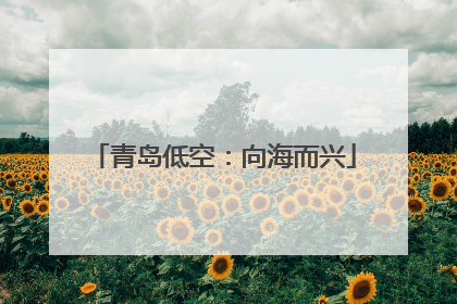 青岛低空：向海而兴