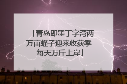 青岛即墨丁字湾两万亩蛏子迎来收获季 每天万斤上岸