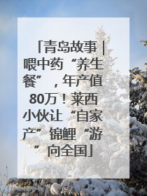 青岛故事｜喂中药“养生餐”，年产值80万！莱西小伙让“自家产”锦鲤“游”向全国