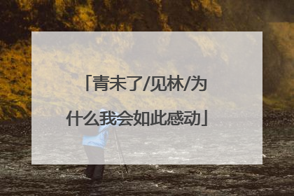 青未了/见林/为什么我会如此感动
