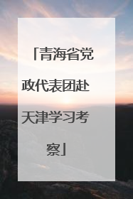青海省党政代表团赴天津学习考察