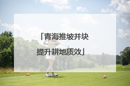 青海推坡并块提升耕地质效