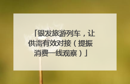 银发旅游列车，让供需有效对接（提振消费一线观察）