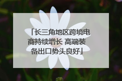 长三角地区跨境电商持续增长 高端装备出口势头良好