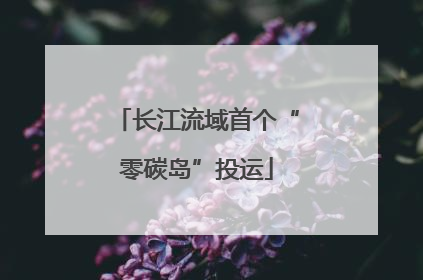 长江流域首个“零碳岛”投运