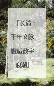 长清：千年文脉邂逅数字浪潮