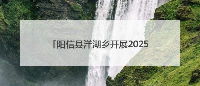 阳信县洋湖乡开展2025年国际禁毒日主题宣传活动