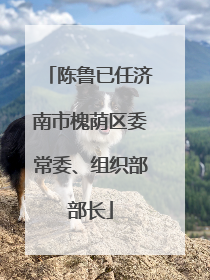 陈鲁已任济南市槐荫区委常委、组织部部长