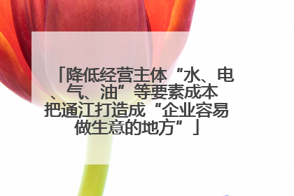 降低经营主体“水、电、气、油”等要素成本 把通江打造成“企业容易做生意的地方”