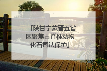 陕甘宁蒙晋五省区聚焦古脊椎动物化石司法保护