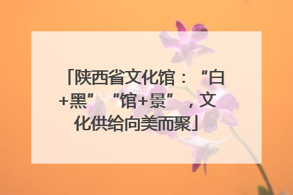 陕西省文化馆：“白+黑”“馆+景”，文化供给向美而聚