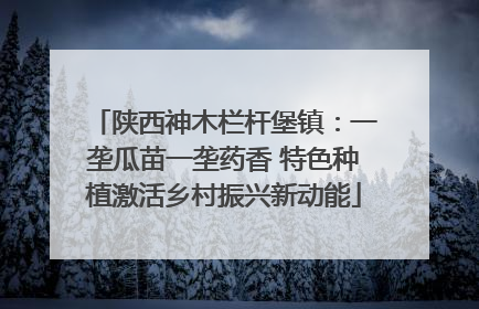 陕西神木栏杆堡镇：一垄瓜苗一垄药香 特色种植激活乡村振兴新动能