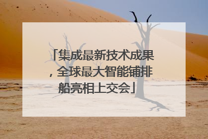 集成最新技术成果，全球最大智能铺排船亮相上交会