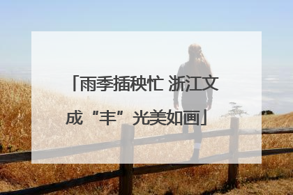 雨季插秧忙 浙江文成“丰”光美如画