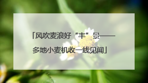 风吹麦浪好“丰”景——多地小麦机收一线见闻
