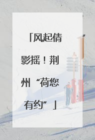 风起倩影摇！荆州“荷您有约”