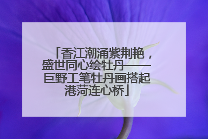 香江潮涌紫荆艳，盛世同心绘牡丹——巨野工笔牡丹画搭起港菏连心桥