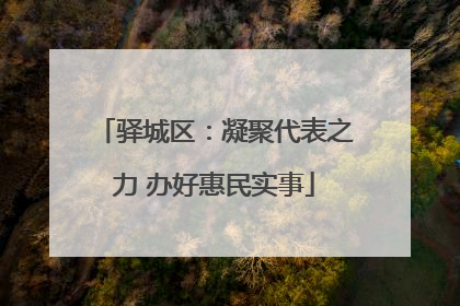 驿城区：凝聚代表之力 办好惠民实事