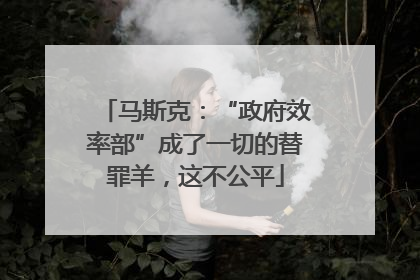 马斯克：“政府效率部”成了一切的替罪羊，这不公平