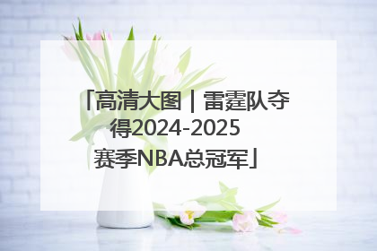 高清大图｜雷霆队夺得2024-2025赛季NBA总冠军