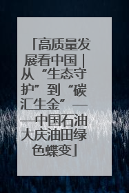 高质量发展看中国｜从“生态守护”到“碳汇生金”——中国石油大庆油田绿色蝶变