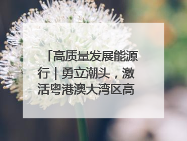 高质量发展能源行｜勇立潮头，激活粤港澳大湾区高质量发展动力源
