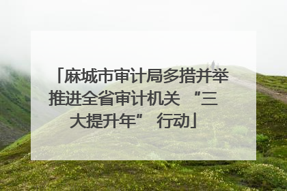 麻城市审计局多措并举推进全省审计机关 “三大提升年” 行动