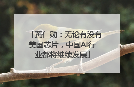 黄仁勋：无论有没有美国芯片，中国AI行业都将继续发展