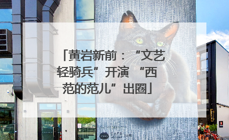黄岩新前：“文艺轻骑兵”开演 “西范的范儿”出圈