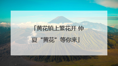 黄花镇上繁花开 仲夏“黄花”等你来