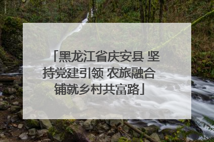 黑龙江省庆安县 坚持党建引领 农旅融合铺就乡村共富路