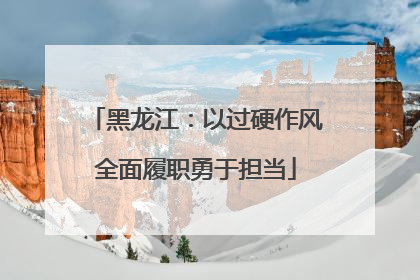黑龙江：以过硬作风全面履职勇于担当