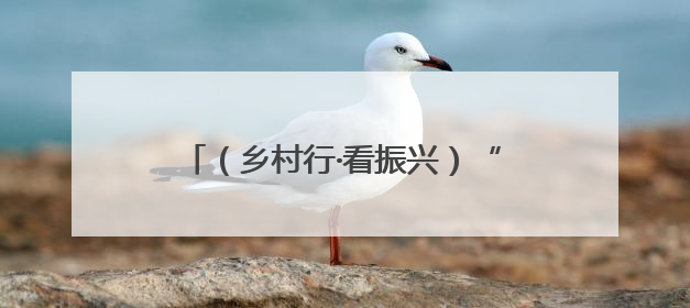 （乡村行·看振兴）“中国瓜菜之乡”：“莓”好前景 四季生金