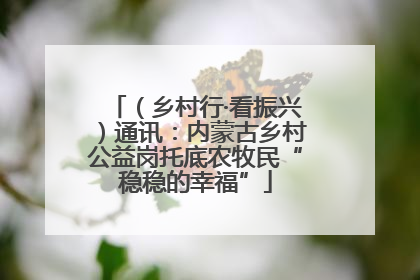 （乡村行·看振兴）通讯：内蒙古乡村公益岗托底农牧民“稳稳的幸福”