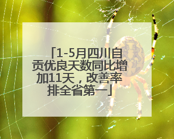 1-5月四川自贡优良天数同比增加11天，改善率排全省第一