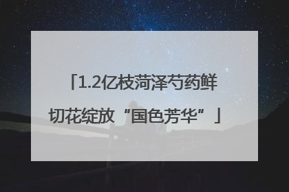 1.2亿枝菏泽芍药鲜切花绽放“国色芳华”