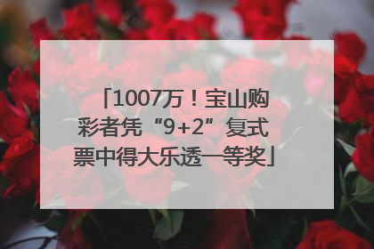 1007万！宝山购彩者凭“9+2”复式票中得大乐透一等奖