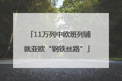 11万列中欧班列铺就亚欧“钢铁丝路”