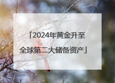 2024年黄金升至全球第二大储备资产