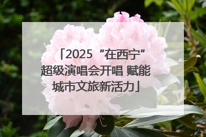 2025“在西宁”超级演唱会开唱 赋能城市文旅新活力