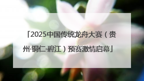 2025中国传统龙舟大赛（贵州·铜仁·碧江）预赛激情启幕
