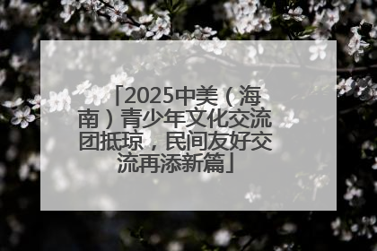 2025中美（海南）青少年文化交流团抵琼，民间友好交流再添新篇