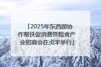 2025年东西部协作帮扶促消费暨糯食产业招商会在贞丰举行