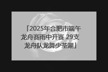 2025年合肥市端午龙舟赛雨中开赛 29支龙舟队龙舞少荃湖