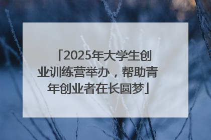 2025年大学生创业训练营举办，帮助青年创业者在长圆梦