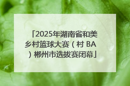 2025年湖南省和美乡村篮球大赛（村 BA）郴州市选拔赛闭幕