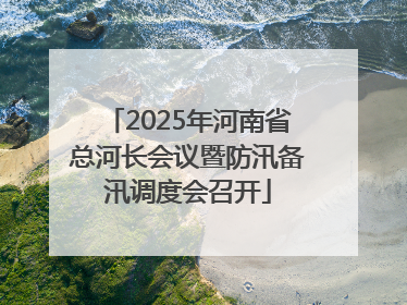 2025年河南省总河长会议暨防汛备汛调度会召开